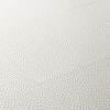 Detalhes Raia Branco AC