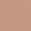 face_04