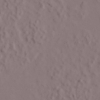 face_016