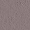 face_019