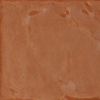 face_028
