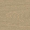 face_041