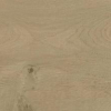 face_019