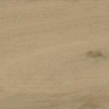 face_027
