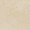 face_01