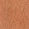 face_023