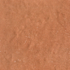 face_024