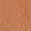 face_041