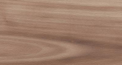 Artemi Nogueira AC 3d