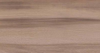 Artemi Nogueira AC 3d