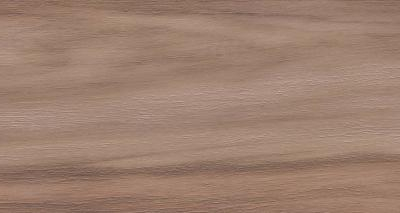 Artemi Nogueira AC 3d