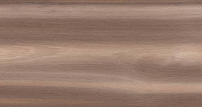 Artemi Nogueira AC 3d