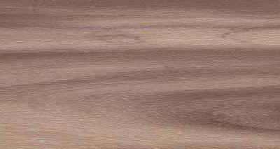 Artemi Nogueira AC 3d