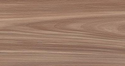 Artemi Nogueira EXT 3d