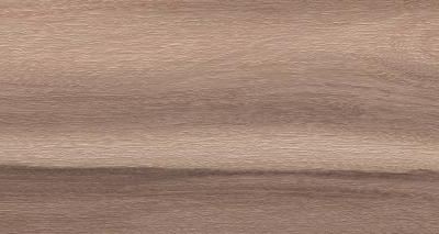 Artemi Nogueira EXT 3d