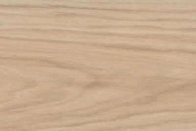 Zanzibar Camel EXT