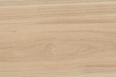 Zanzibar Camel EXT