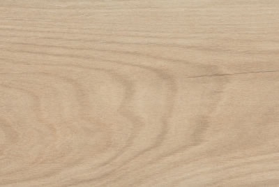 Zanzibar Camel EXT