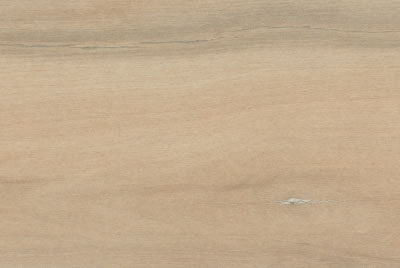 Zanzibar Camel EXT