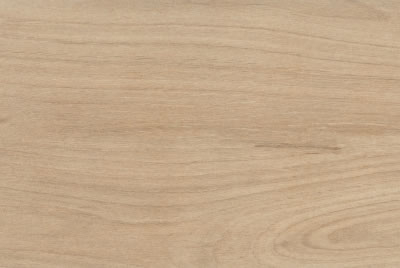 Zanzibar Camel EXT