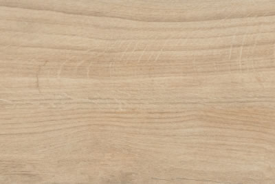 Zanzibar Camel EXT