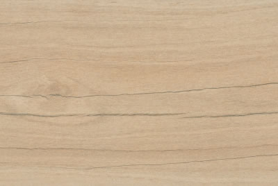 Zanzibar Camel EXT