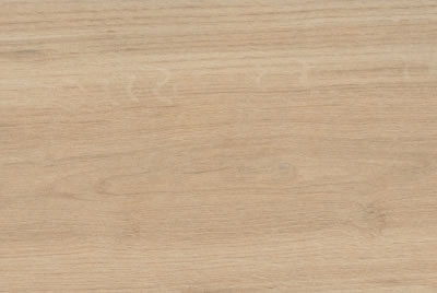 Zanzibar Camel EXT
