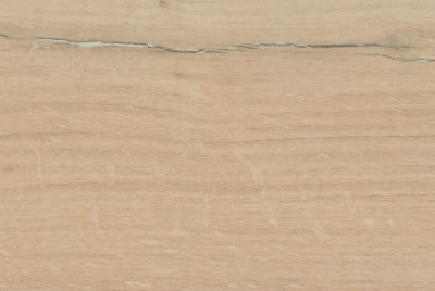 Zanzibar Camel EXT