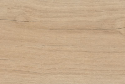 Zanzibar Camel EXT