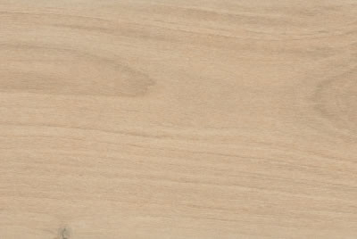 Zanzibar Camel EXT