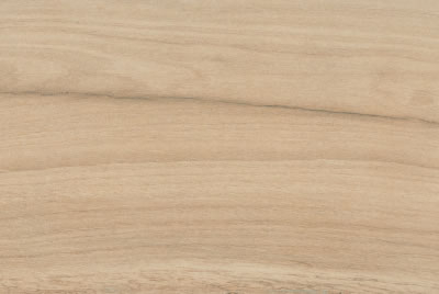 Zanzibar Camel EXT