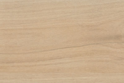 Zanzibar Camel EXT