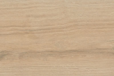 Zanzibar Camel EXT