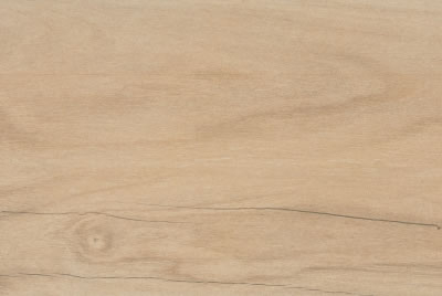 Zanzibar Camel EXT