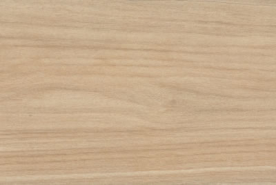 Zanzibar Camel EXT
