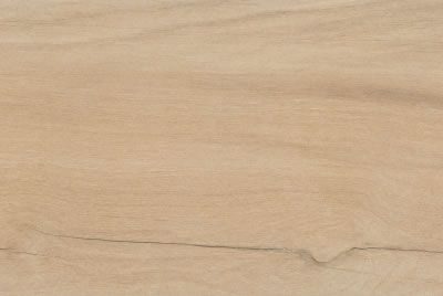 Zanzibar Camel EXT