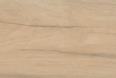 Zanzibar Camel EXT