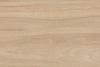 Zanzibar Camel EXT