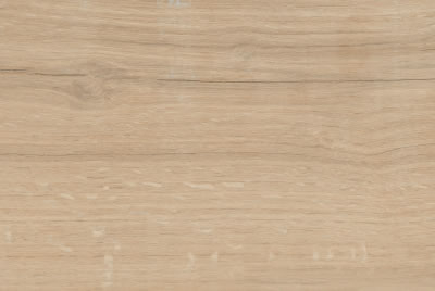 Zanzibar Camel EXT