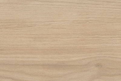 Zanzibar Camel EXT