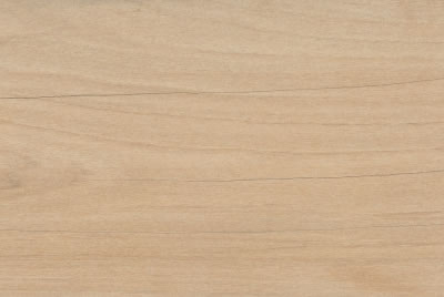 Zanzibar Camel EXT
