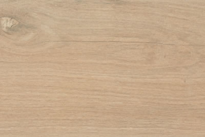 Zanzibar Camel EXT