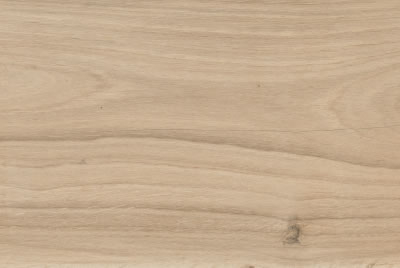Zanzibar Camel EXT