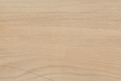 Zanzibar Camel EXT