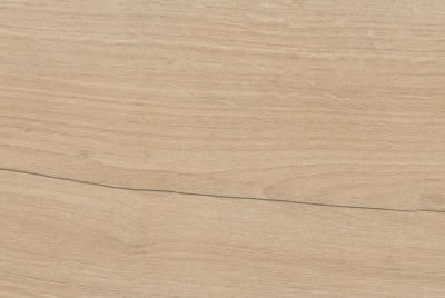 Zanzibar Camel EXT