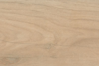 Zanzibar Camel EXT