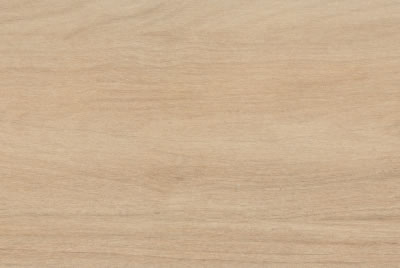 Zanzibar Camel EXT