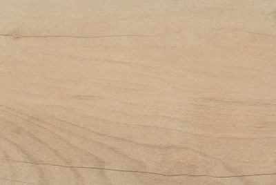 Zanzibar Camel EXT