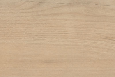 Zanzibar Camel EXT