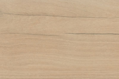 Zanzibar Camel EXT